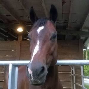 Meet your Posher, Peggie